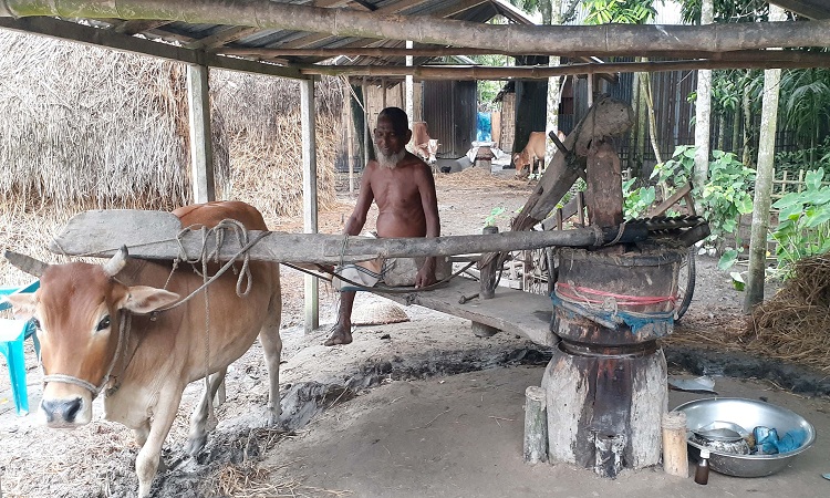 ঘানি টেনেই কোটিপতি রুহুল আমিন